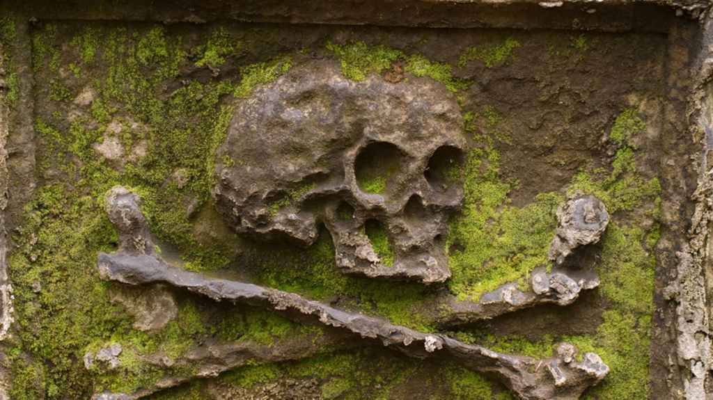 Why Should You&nbsp;Die?